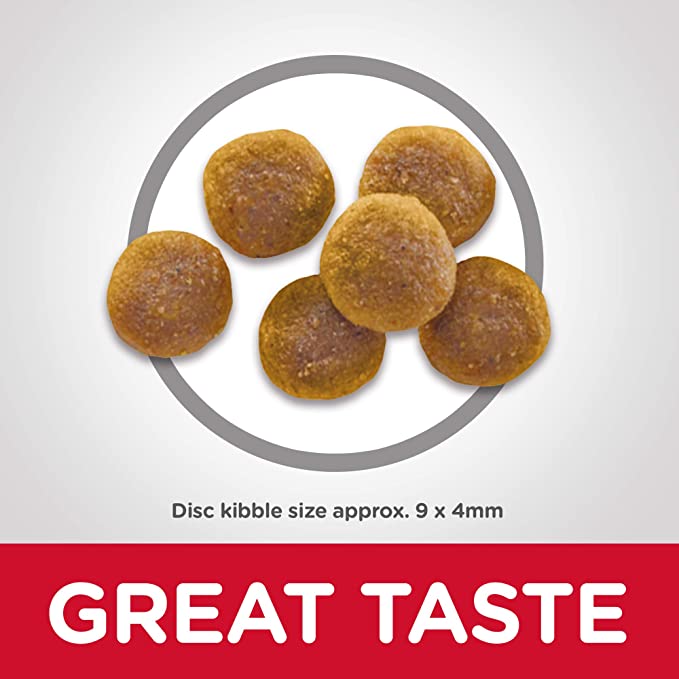 Dry Cat Food - Image 2